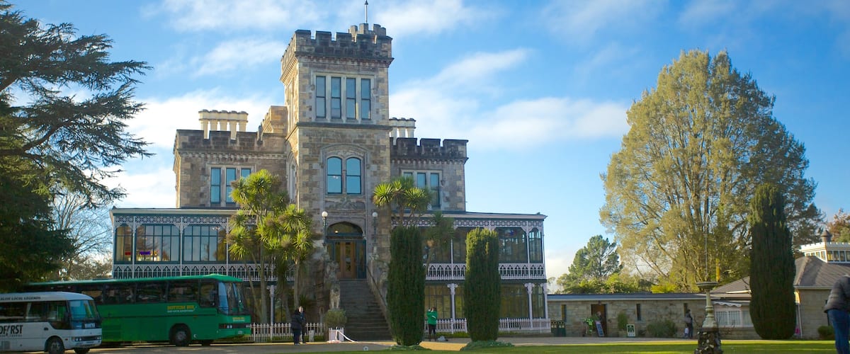 Larnach Castle ofreciendo escenas urbanas y castillo o palacio