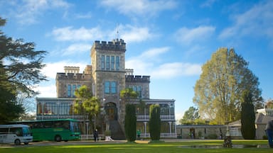 Larnach Castle showing a castle and street scenes