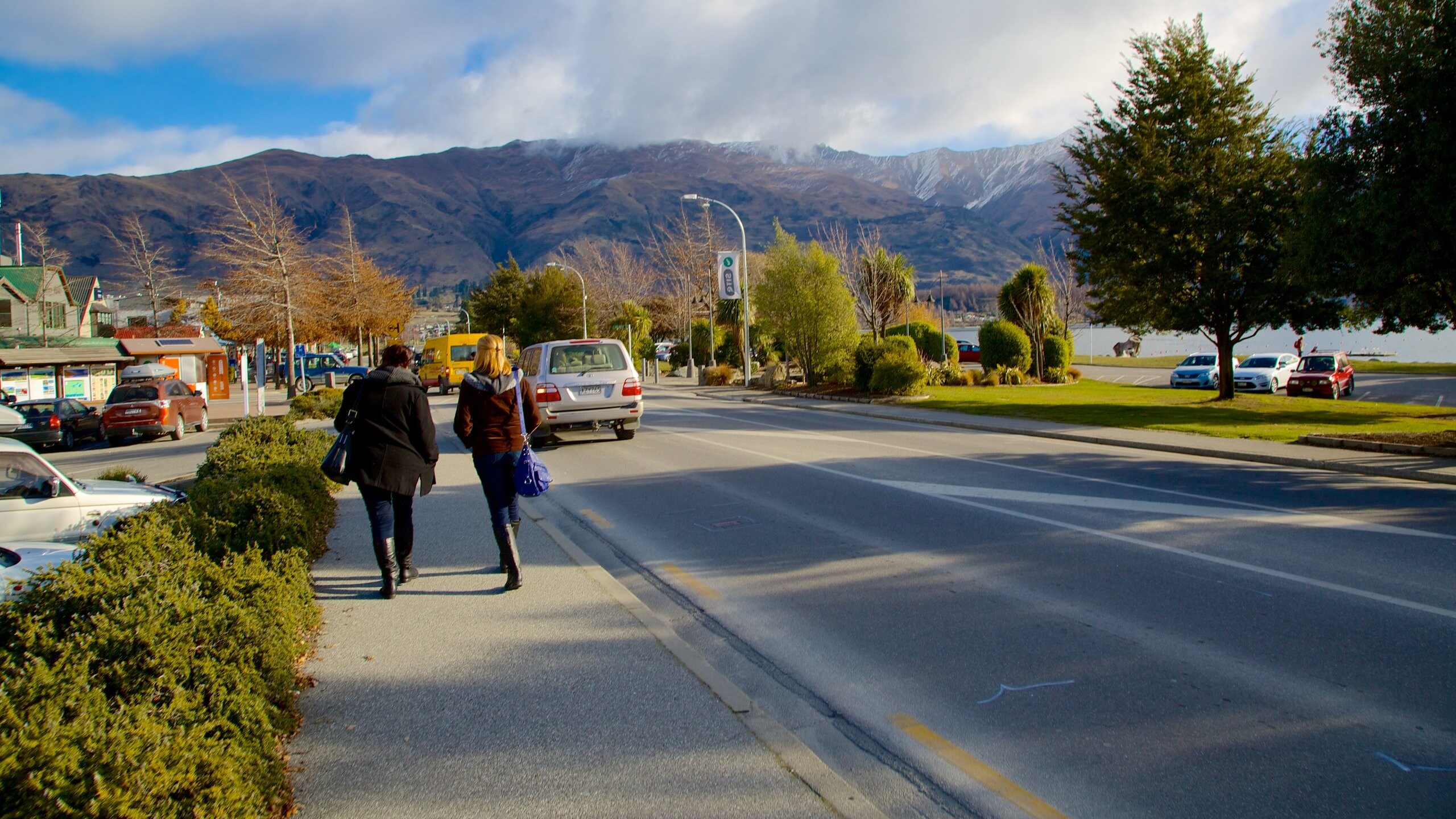 Wanaka featuring street scenes as well as a small group of people