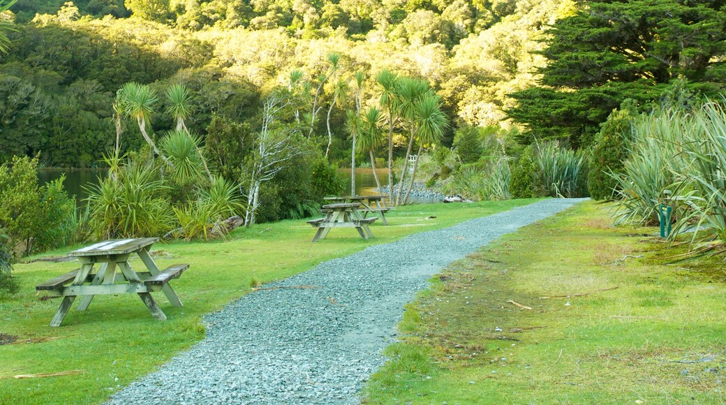 Milford Sound featuring a garden