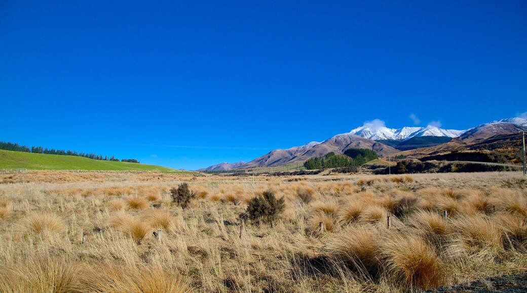 Te Anau qui includes scènes tranquilles