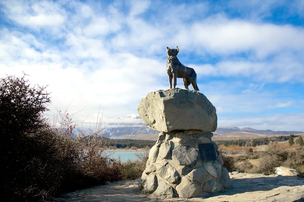 Sheepdog Statue das einen Statue oder Skulptur