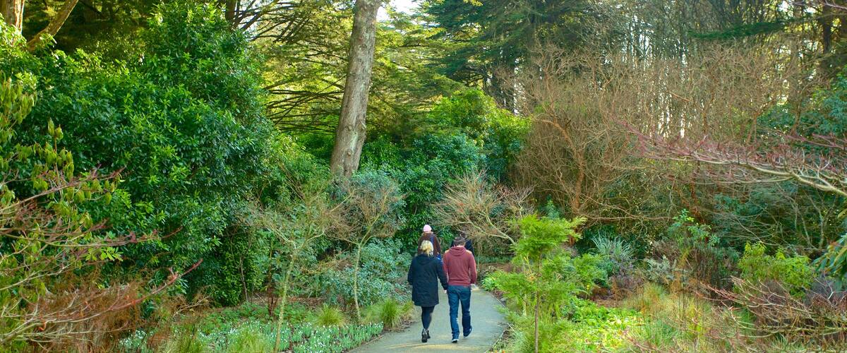 Larnach Castle featuring a garden, forests and hiking or walking