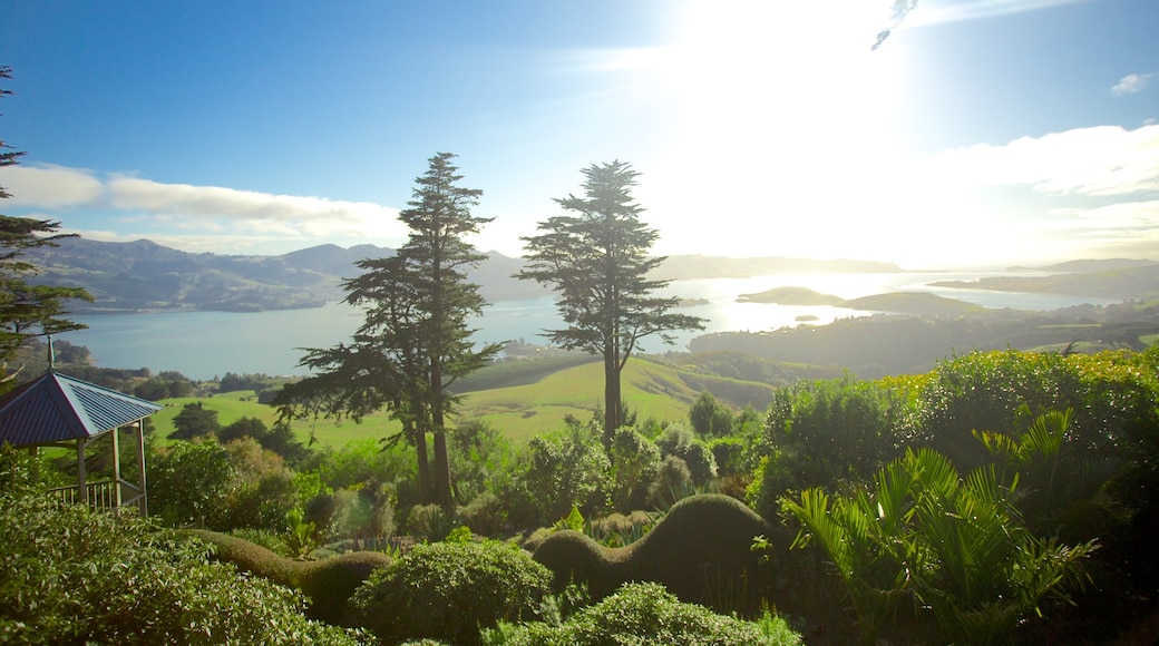 Larnach Castle showing forest scenes and landscape views