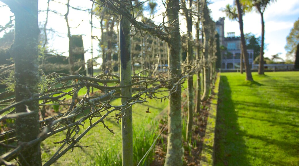 Larnach Castle som inkluderar en trädgård