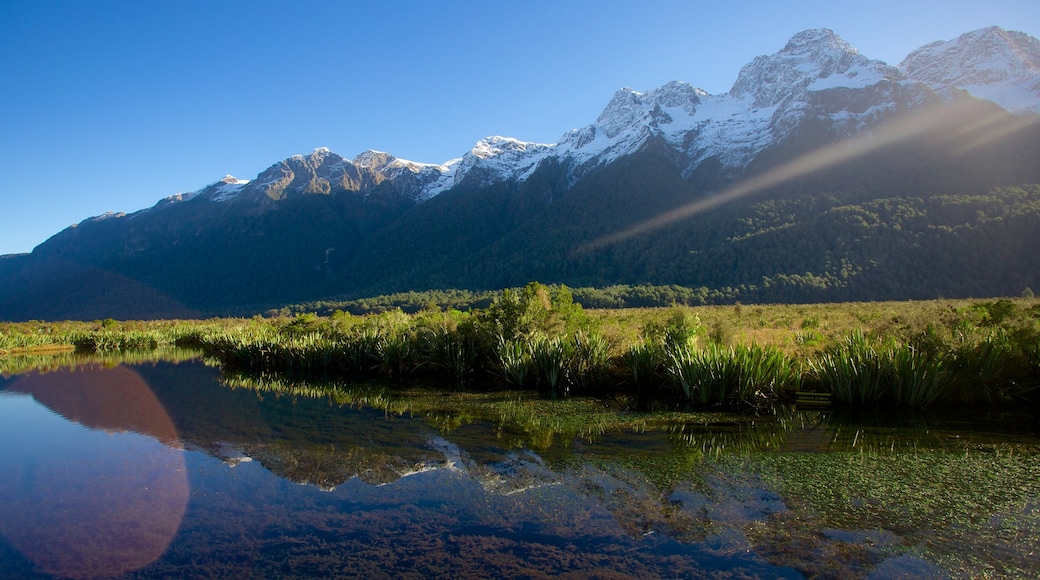 Parco Nazionale di Fjordland caratteristiche di vista del paesaggio, lago o sorgente d\'acqua e montagna