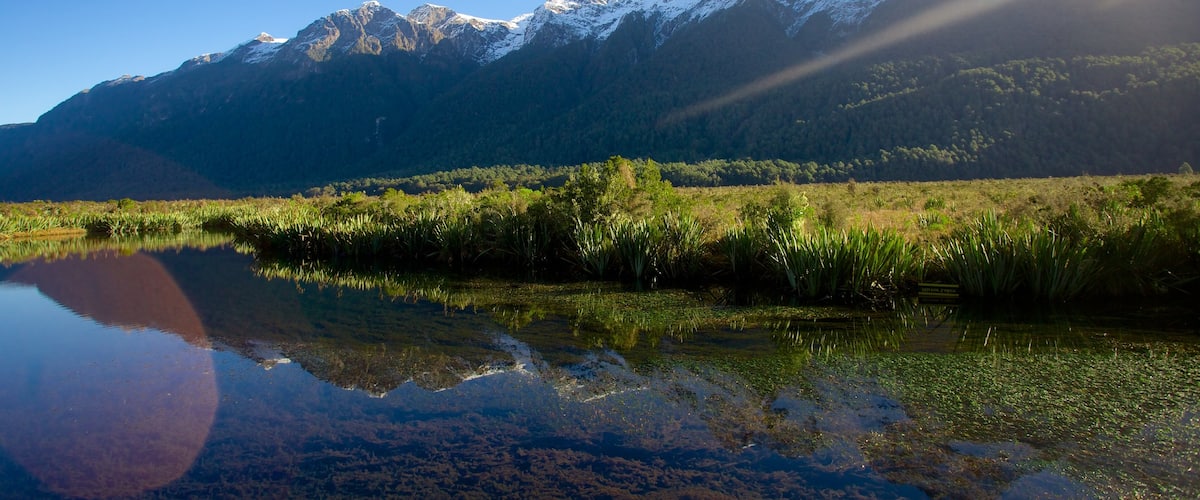 ํผ์๋ฅด๋๋๋ ๊ตญ๋ฆฝ๊ณต์ ์ ํน์ง ์ฐ, ํธ์ ๋๋ ์ ๊ณผ ํ๊ฒฝ