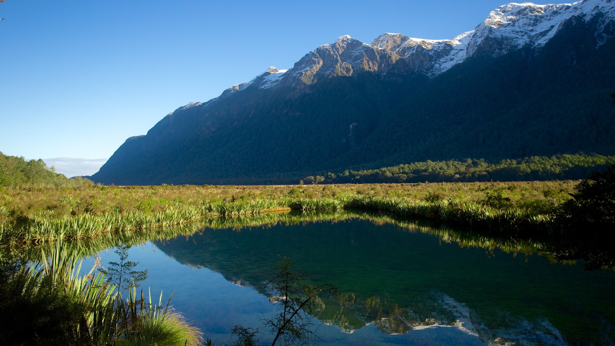 Mirror Lake, NZ holiday homes & more Bookabach