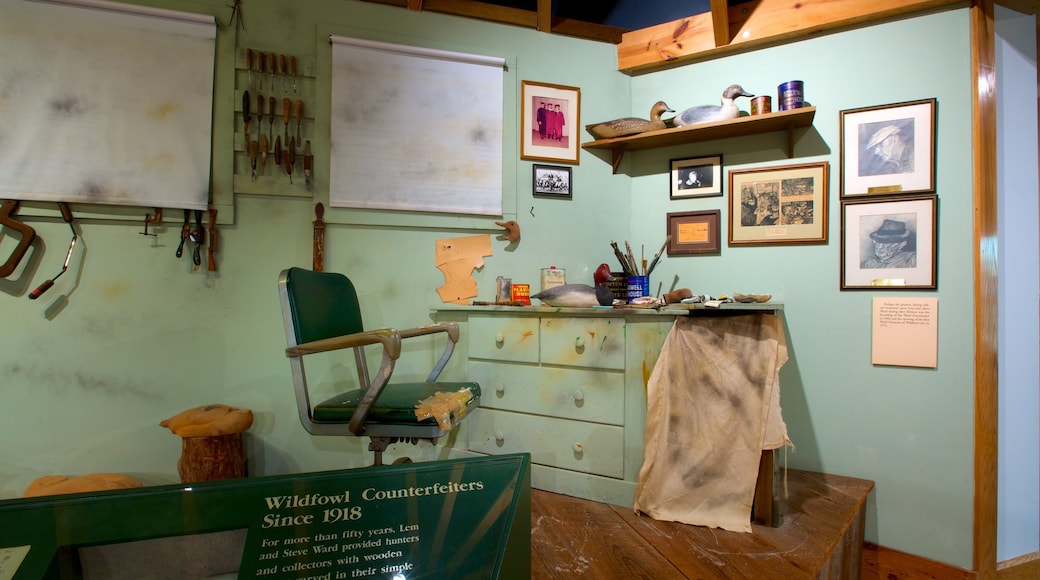 Ward Museum of Wildfowl Art