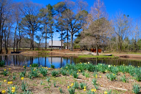 Parc historique de Pemberton mettant en vedette jardin, fleurs sauvages et fleurs