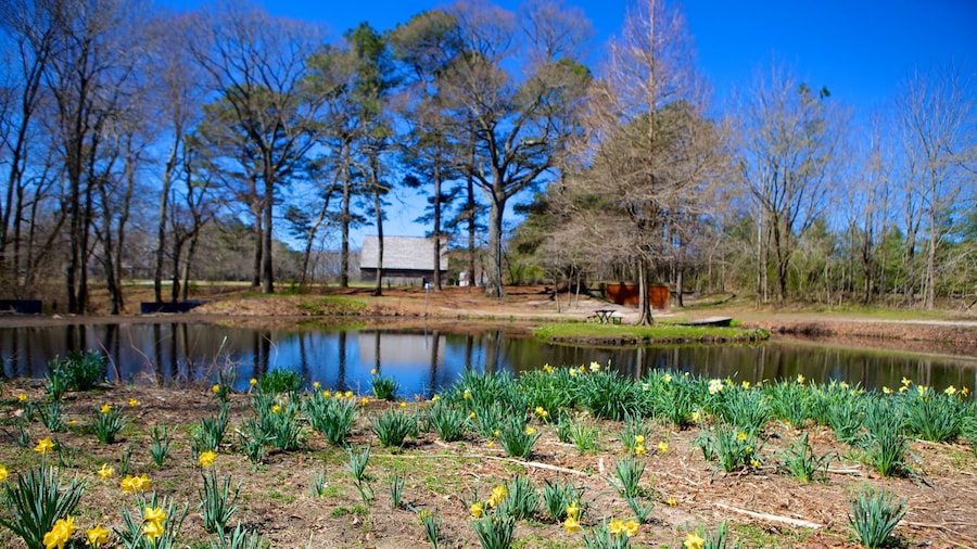 Pemberton Historical Park mostrando flores, um lago e um jardim