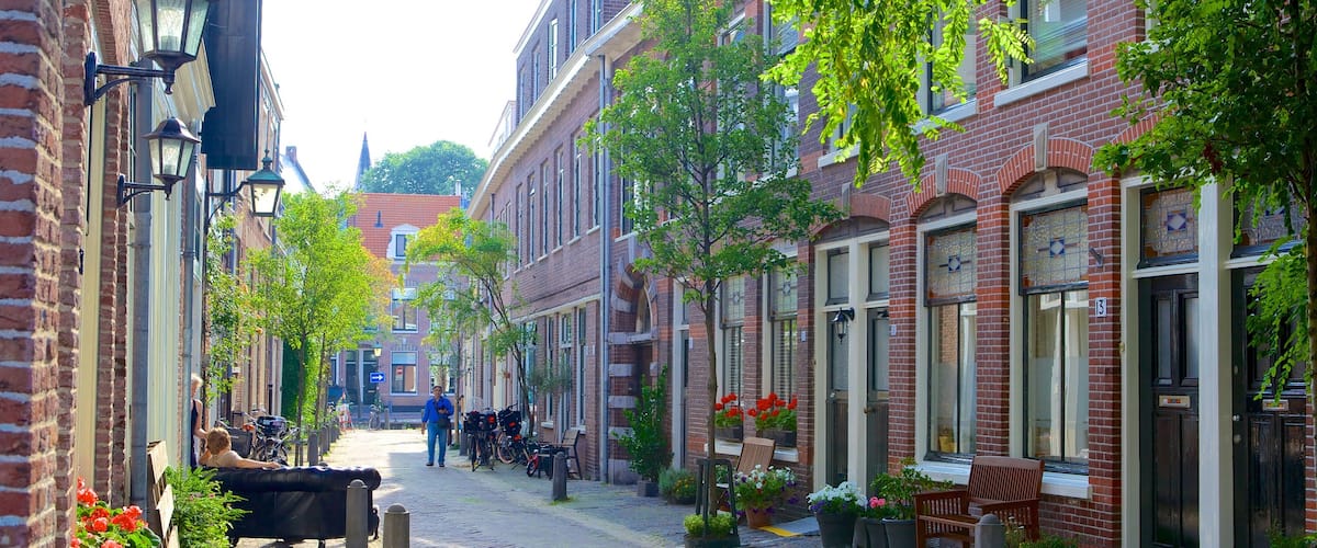 Haarlem featuring street scenes