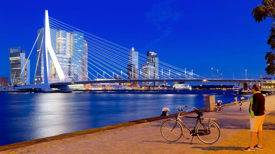 Erasmus Bridge showing a bridge, night scenes and cycling