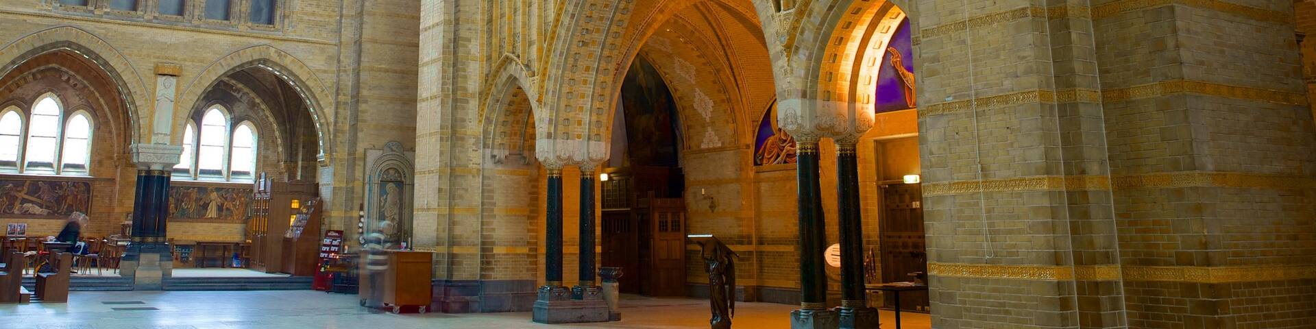 Cathedral of Saint Bavo which includes interior views, religious elements and a church or cathedral