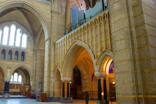 Cathedral of Saint Bavo which includes religious aspects, a church or cathedral and interior views