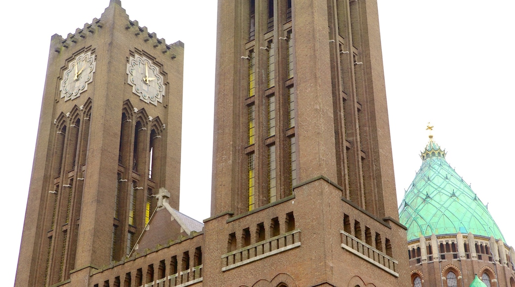 Sint-Bavokerk toont een kerk of kathedraal en historisch erfgoed