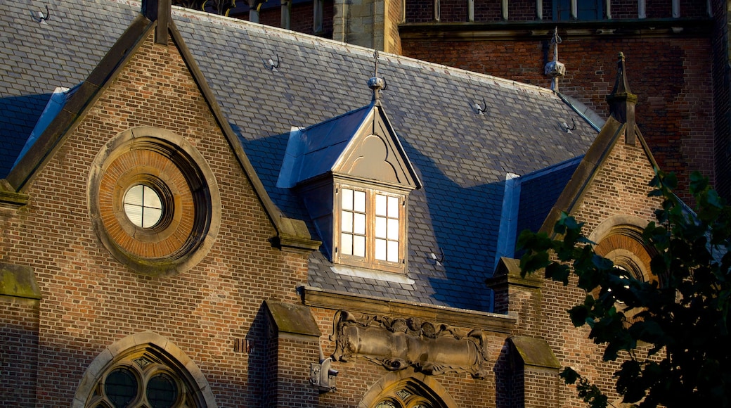 Grote Kerk cho thấy kiến trúc di sản và di sản