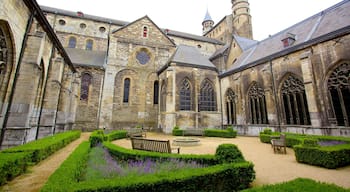 Basilica of Our Lady showing a square or plaza, heritage architecture and a church or cathedral