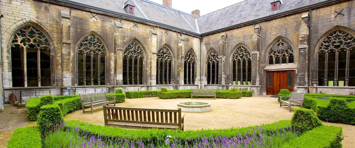 Basilique de Notre Dame mettant en vedette église ou cathédrale, jardin et patrimoine historique