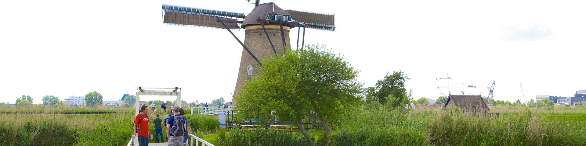 Kinderdijk mit einem Sumpfgebiet, Fluss oder Bach und BrĂŒcke