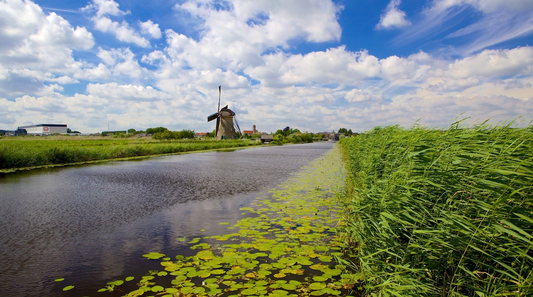 Kinderdijk presenterar träsk och en å eller flod