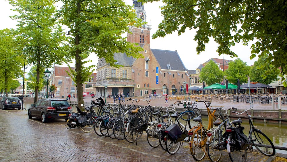Waag showing street scenes and cycling