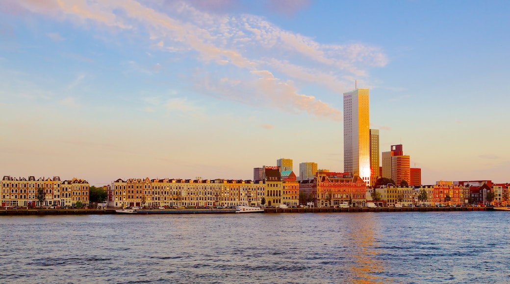 Erasmus Bridge showing skyline, modern architecture and a bay or harbour