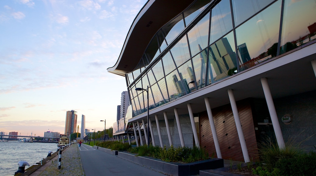 Ponte Erasmus caratteristiche di vista della costa e architettura moderna