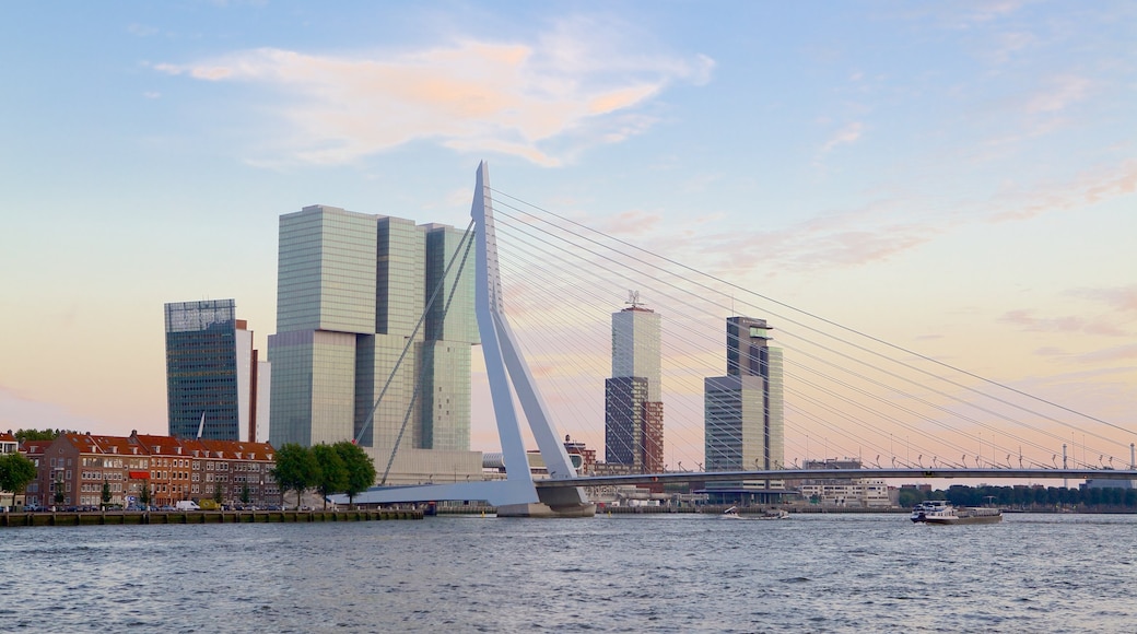 Erasmus Bridge which includes skyline, modern architecture and a bridge