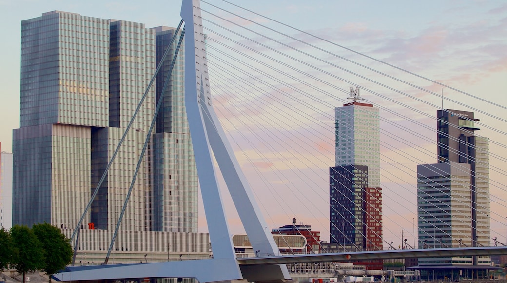 Erasmus Bridge featuring skyline, modern architecture and cbd