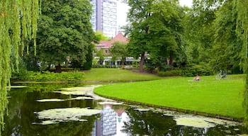 Euromast caracterizando um lago ou charco, um jardim e paisagem