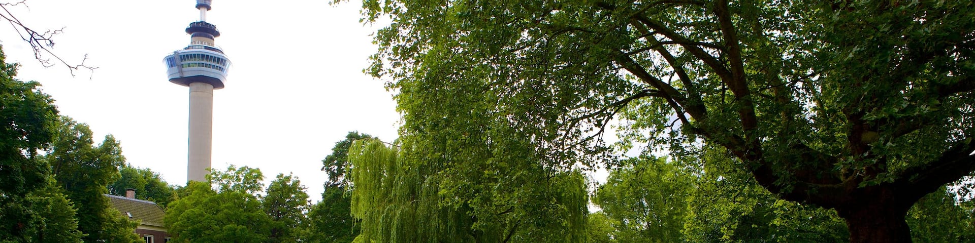 Euromast showing a lake or waterhole, a garden and landscape views