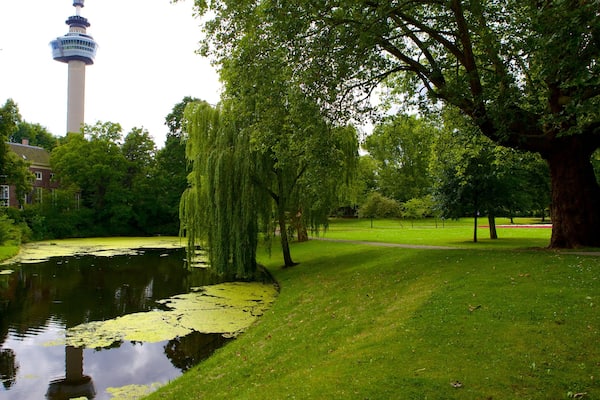 Euromast mit einem Park, Landschaften und See oder Wasserstelle