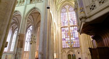 Domkerk welches beinhaltet religiöse Aspekte, Kirche oder Kathedrale und Innenansichten