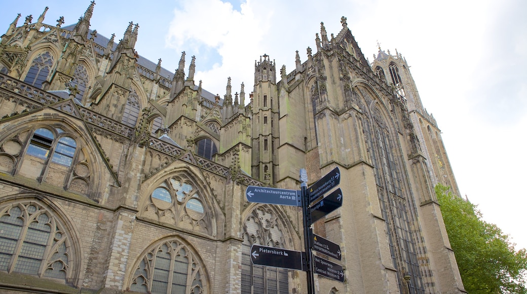 De Dom inclusief historische architectuur, historisch erfgoed en een kerk of kathedraal