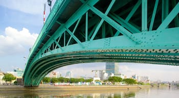 Saigon River bevat een rivier of beek en een brug