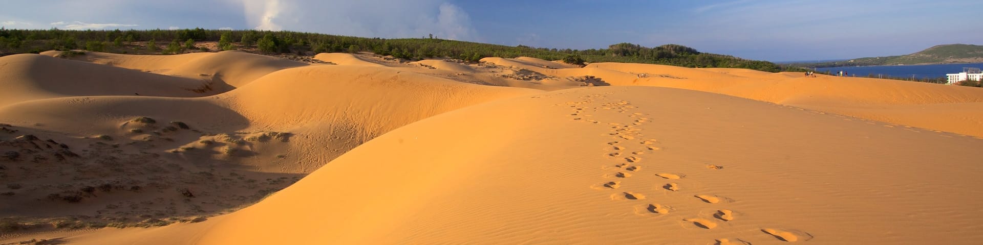Dunas de arena de Mui Ne mostrando vistas de paisajes y vistas al desierto