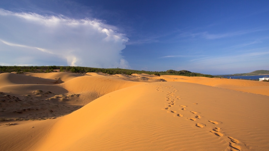 Sanddünen von Mũi Né