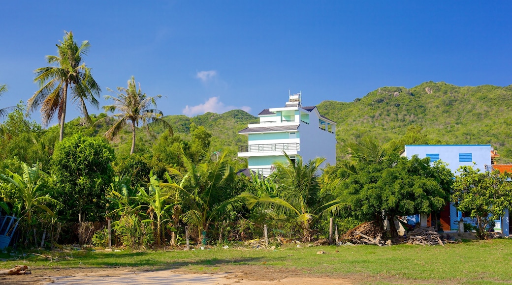 Long Hai showing farmland and tropical scenes