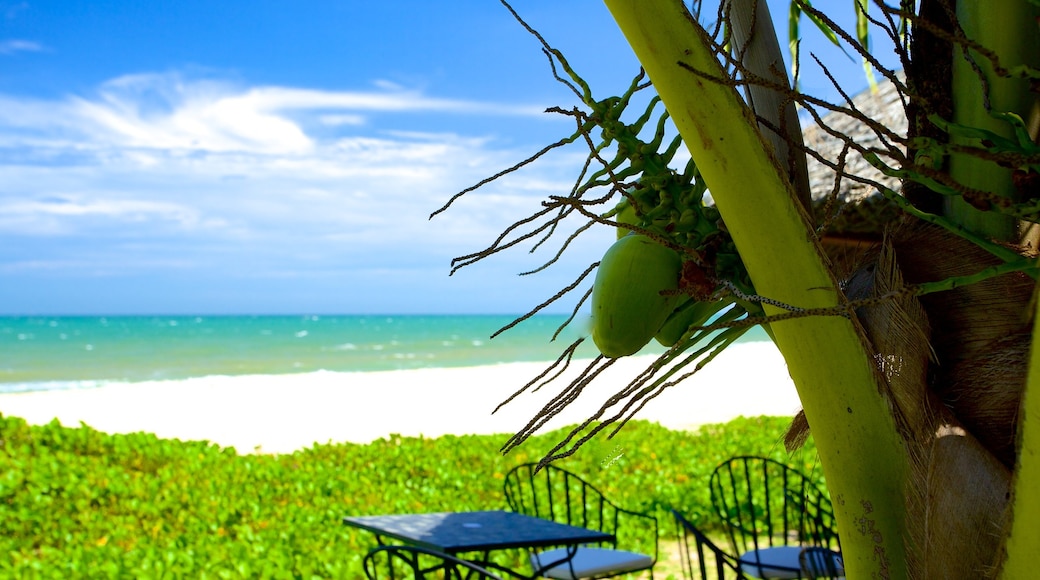 Phan Thiet Beach which includes tropical scenes