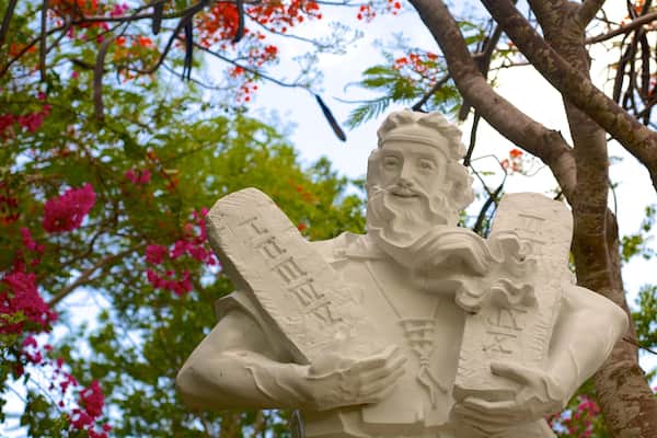 Tuong Dai Chua Kito Vua フィーチャー 広場, アート と 花