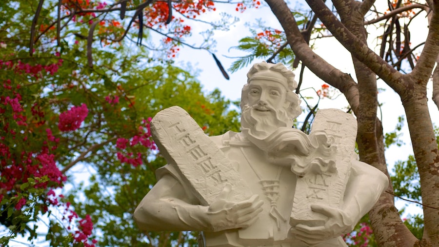 Tuong Dai Chua Kito Vua featuring art, flowers and a statue or sculpture