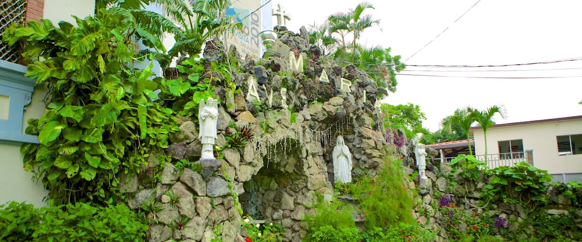 Iglesia Don Rua showing a statue or sculpture and a garden
