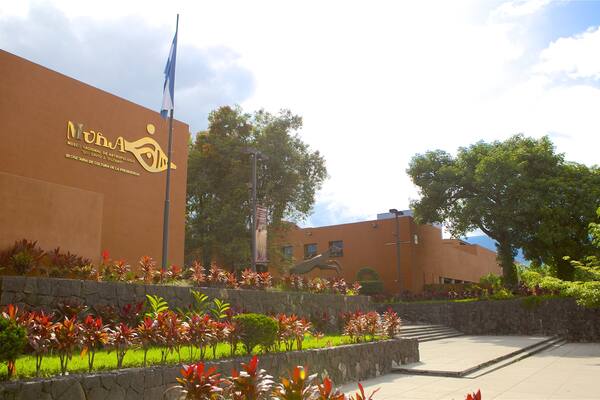 David Guzman Anthropology Museum which includes a garden and signage