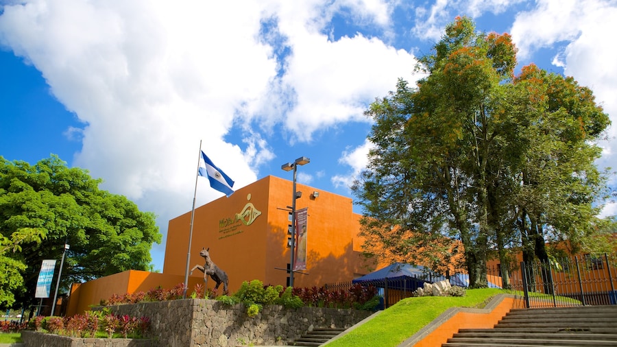 David Guzman Anthropology Museum