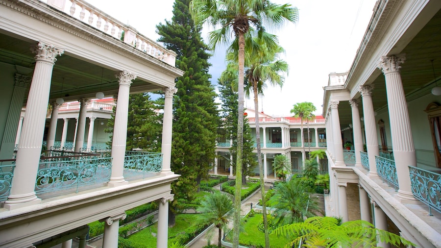Palacio Nacional cho thấy quang cảnh miền nhiệt đới và lâu đài hoặc cung điện