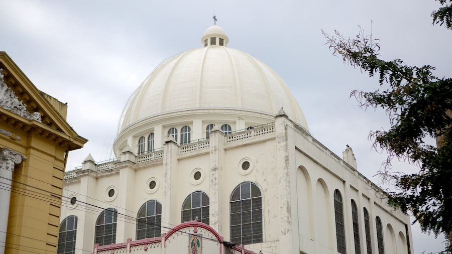 Catedral Metropolitano trong đó bao gồm nhà thờ
