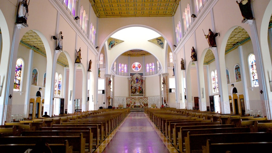 Iglesia Don Rua có tính năng cảnh nội thất, nhà thờ và tôn giáo