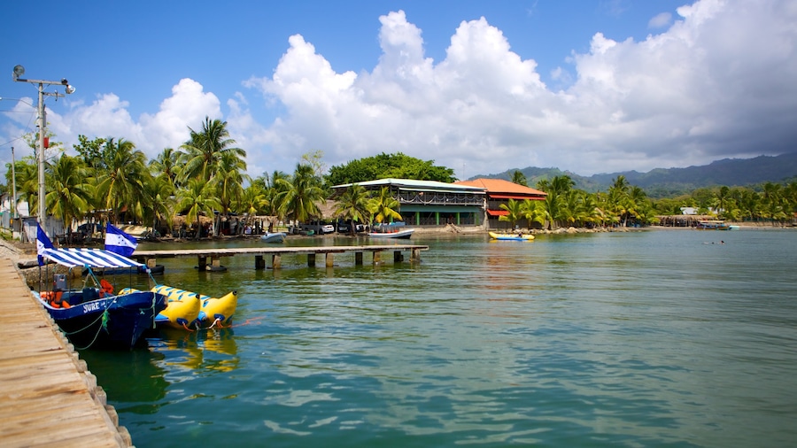 Omoa featuring boating, tropical scenes and general coastal views