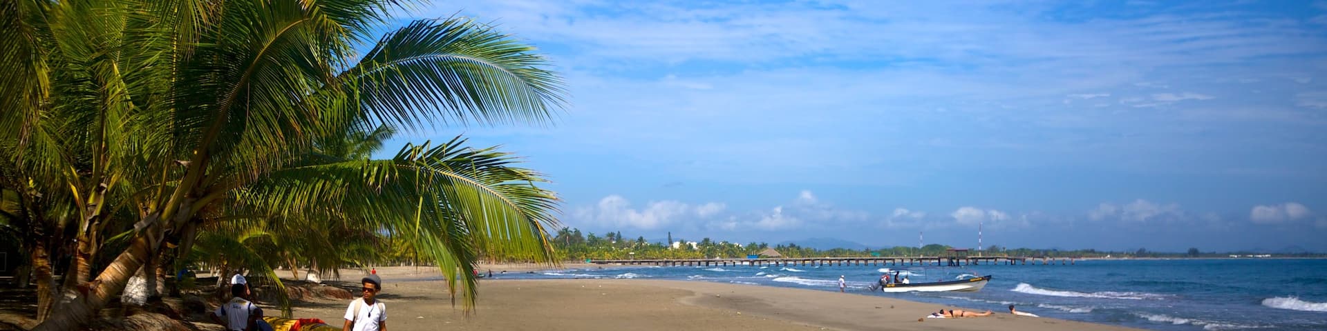 Northern Coast showing tropical scenes and a beach as well as a small group of people